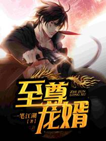 至尊龙婿