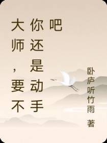 大师,要不你还是动手吧