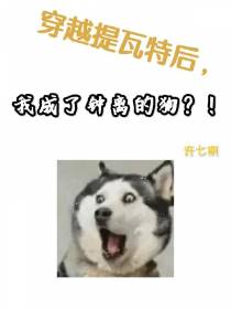 穿越提瓦特后,我成了钟离的狗
