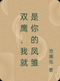 双鹰,我就是你的凤雏