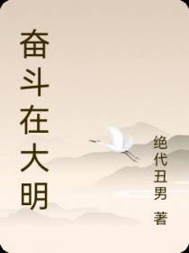 奋斗在大明