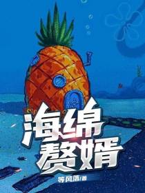 海绵赘婿
