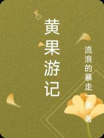 黄果游记