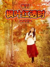 等到枫叶红透时