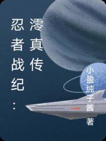 忍者战纪：澪真传