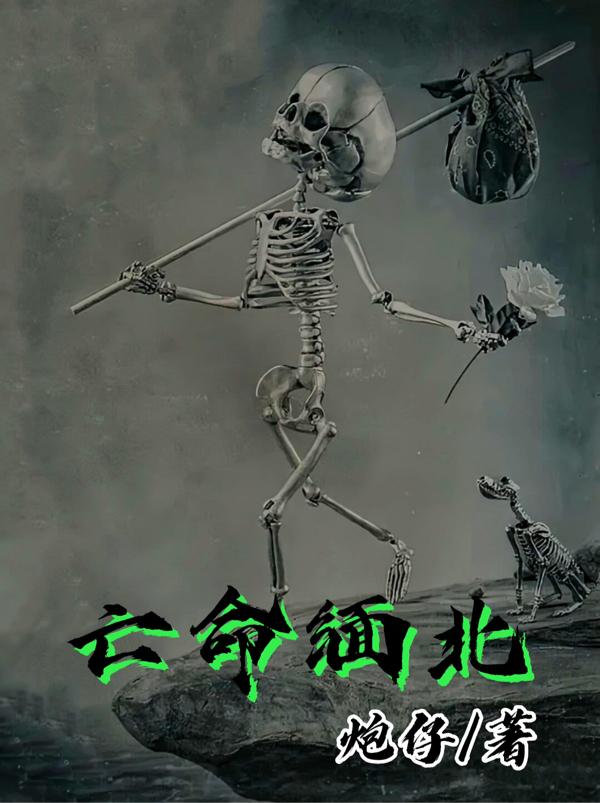 亡命缅北
