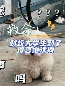 救命！封校大学生到了冷宫继续疯