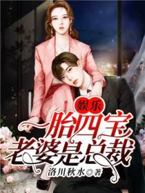 娱乐：一胎四宝,老婆是总裁