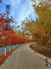 苦乐人世间