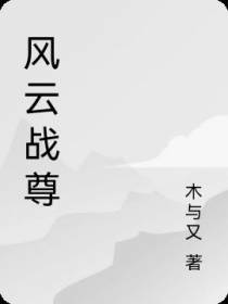 风云战尊