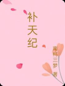 补天纪