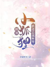脚滑小狐狸,跌进总裁怀里