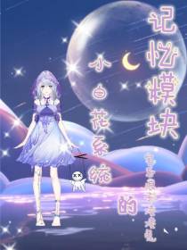 小白花系统的记忆模块