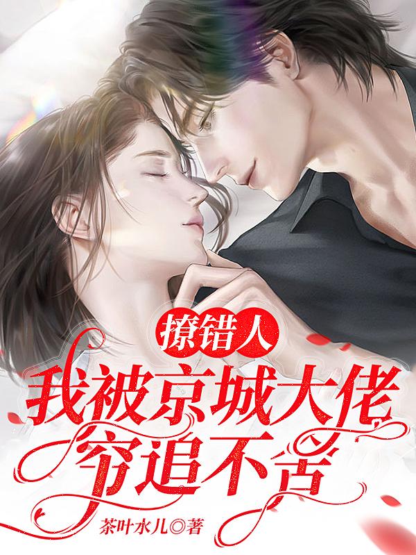 撩错人,我被京城大佬穷追不舍