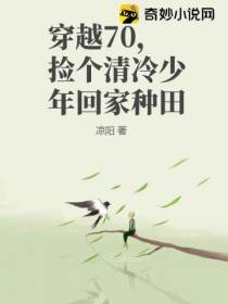 穿越70,捡个清冷少年回家种田
