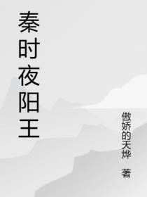 秦时夜阳王