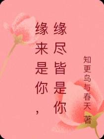 缘来是你,缘尽皆是你