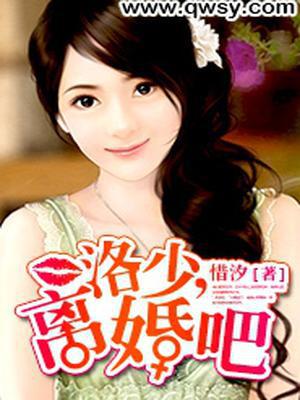 洛少,离婚吧
