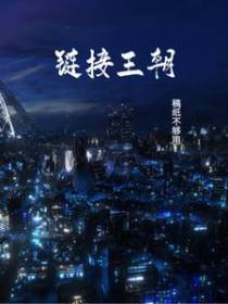 链接王朝