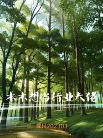 木木想当行业大佬