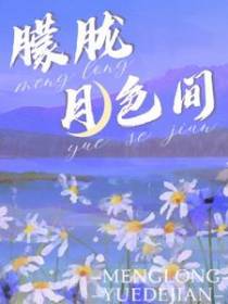 朦胧月色间