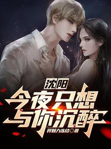沈阳,今夜只想与你沉醉