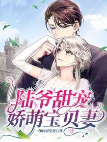 陆爷甜宠娇萌宝贝妻