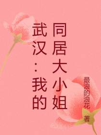 武汉：我的同居大小姐