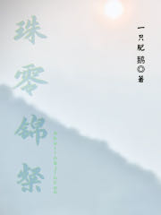 珠零锦粲