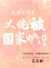 开局全网黑,大佬被国家护短