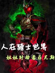 人在骑士世界,姐姐时劫者菲尼斯
