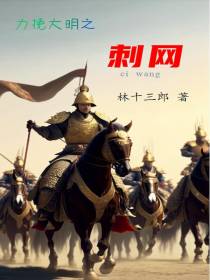 力挽大明之刺网