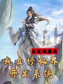 我在修仙界开发系统