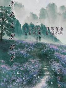 思君亦想伴君