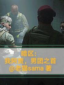 暗区：我阿贾,男团之首
