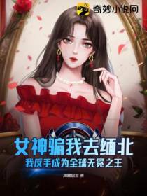 女神骗我去缅北,我反手成为全球无冕之王