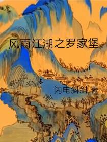 风雨江湖之罗家堡