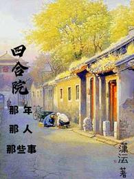 四合院：那年那人那些事潇沄