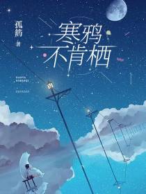 寒鸦不肯栖