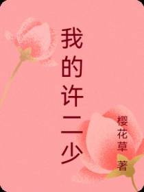 我的许二少