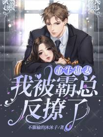 重生甜妻：我被霸总反撩了