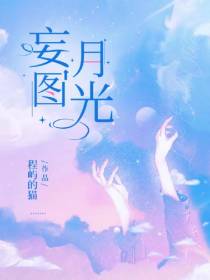 妄图月光