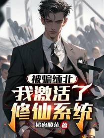 被骗缅北,我激活了修仙系统