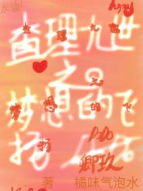 查理九世之梦想的飞扬