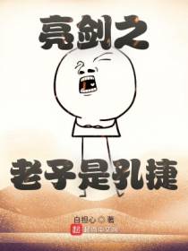 亮剑之老子是孔捷孔捷
