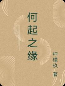 何起之缘