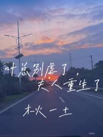 叶总别虐了,夫人重生了