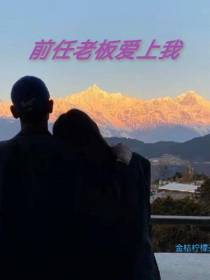 前任老板爱上我