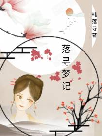 落寻梦记