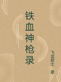 铁血神枪录